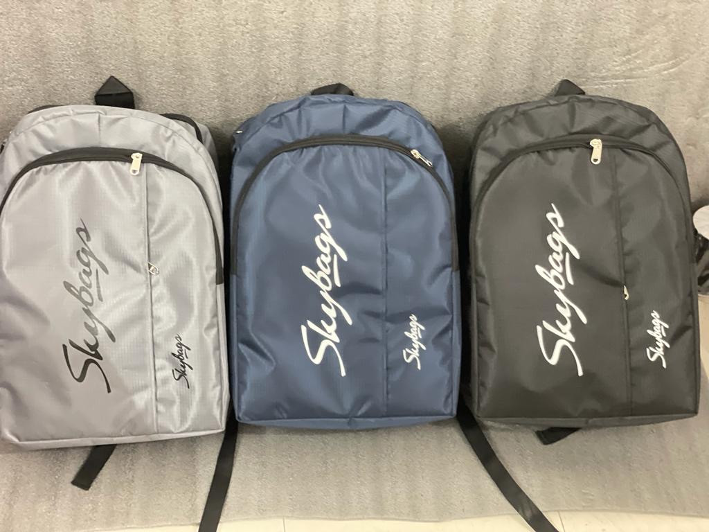 Skybags College bag